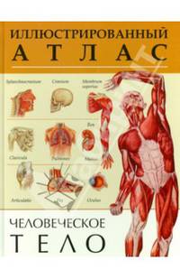 Человеческое тело. Иллюстрированный атлас