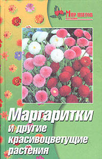 Маргаритки и другие красивоцветующие растения
