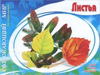 Листья