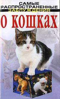 Самые распространенные заблуждения о кошках
