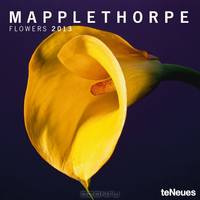 2013 Robert Mapplethorpe Flowers Wall Calendar