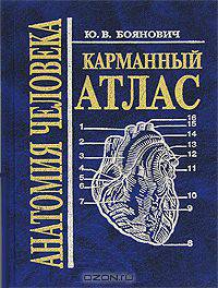 Анатомия человека. Карманный атлас