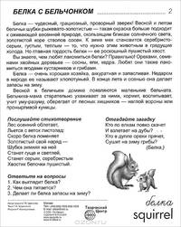Дикие животные. Часть 1. Демонстрационные картинки