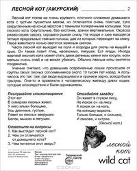 Дикие животные. Часть 2. Демонстрационные картинки