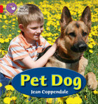 Pet Dog