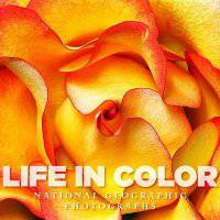 Life in Color: National Geographic Photographs