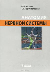 Анатомия нервной системы. Учебное пособие для студентов