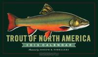 Trout of North America 2013 Wall Calendar