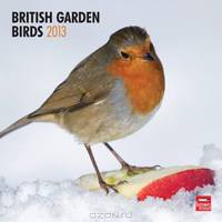 British Garden Birds 2013 Calendar