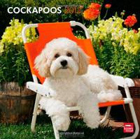 Cockapoos 2013 Square 12X12 Wall Calendar
