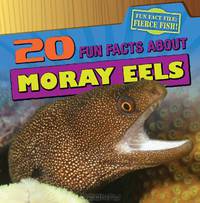 20 Fun Facts About Moray Eels (Fun Fact File)