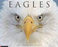 Eagles 2013 Wall Calendar