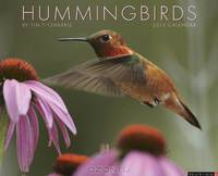 Hummingbirds 2013 Wall Calendar