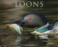 Loons 2013 Wall Calendar