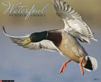 Waterfowl 2013 Wall Calendar