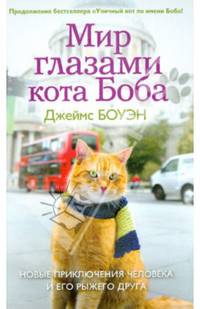 Лапа друга. Мир глазами кота Боба (газетка). Новые приключения человека и его рыжего друга