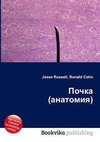 Почка (анатомия)