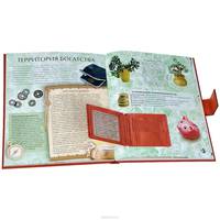 Фэн-шуй. Практикум по приручению драконов (книга с интерактивными элементами)