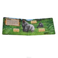 Энциклопедия. Кто скрывается в джунглях?