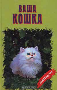 Ваша кошка