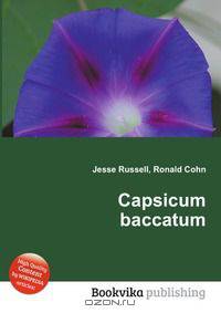 Capsicum baccatum