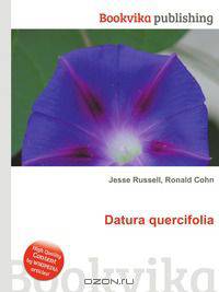 Datura quercifolia