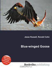 Blue-winged Goose