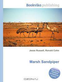 Marsh Sandpiper