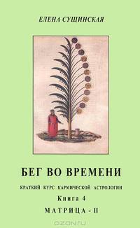 Бег во времени. Краткий курс кармической астрологии. Книга 4. Матрица-II