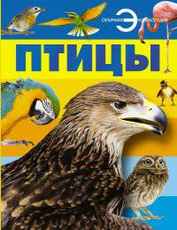 Птицы