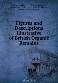 Figures and Descriptions Illustrative of British Organic Remains