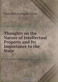 Thoughts on the Nature of Intellectual Property and Its Importance to the State