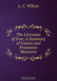 The Corrosion of Iron: A Summary of Causes and Preventive Measures