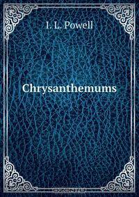 Chrysanthemums