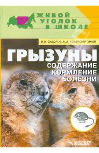 Грызуны: содержание, кормление, болезни