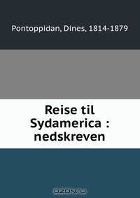 Reise til Sydamerica : nedskreven