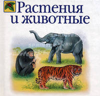 Растения и животные