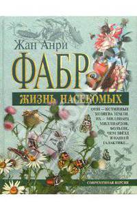 Жизнь насекомых