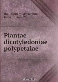 Plantae dicotyledoniae polypetalae
