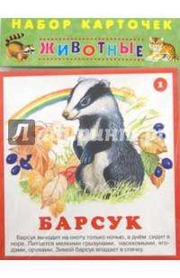 Набор карточек. Животные