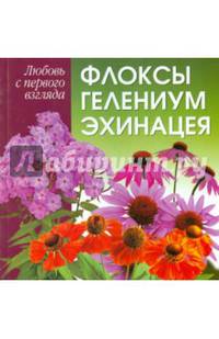 Любовь с первого взгляда. Флоксы, гелениум, эхинацея