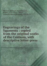 Engravings of the ligaments : copied from the original works of the Caldanis, with descriptive letter-press