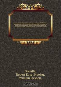 Icones filicum ad eas potissimum species illustrandas destinata, qua hactenus, vel in herbariis delituerunt prorsus incognitae, vel saltem nondum per icones botanicis innotuerunt.Figures and descriptions of ferns, principally of such as have been altogeth
