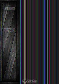 Titi Petronii Arbitri Satyricon quae supersunt : cum integris doctorum virorum commentariis, & notis Nicolai Heinsii & Guilielmi Goesii antea ineditis : quibus additae Dupeyratii & auctiores Bourdelotii ac Reinesii notae : adjiciuntur Jani Dousae praecida