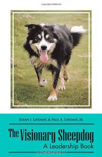 The Visionary Sheepdog: A Leadership Book