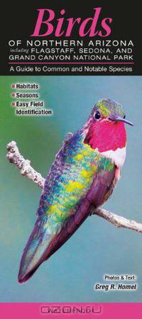 Birds of Northwestern Arizona: Including Grand Canyon National Park