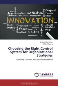 Choosing the Right Control System for Organizational Strategies: Adapting Cultures and Best-fit Leadership