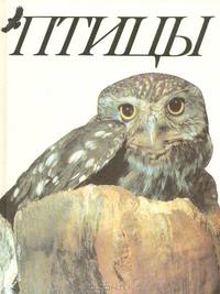 Птицы