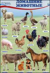 Комплект познавательных мини-плакатов. Домашние, лесные животные, фрукты и ягоды, овощи (4 листа, А4)