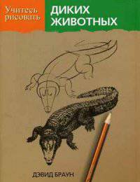 Учитесь рисовать диких животных